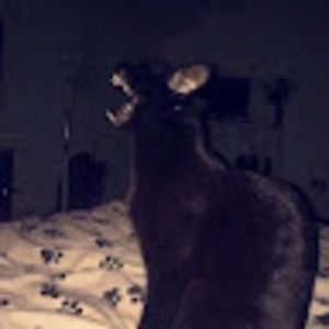 Meet your Posher, Em